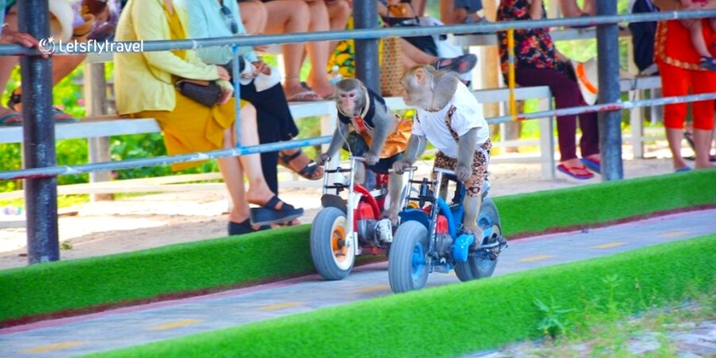Monkey Island wild animals Nha Trang