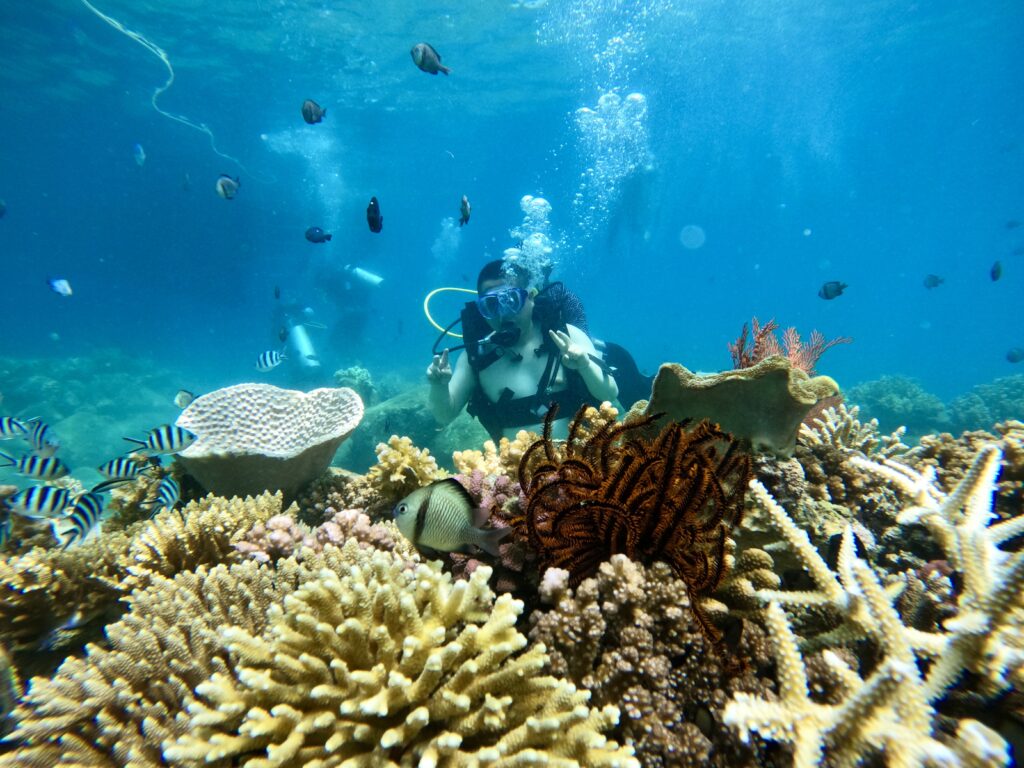 Coral diving in Ninh Van Bay