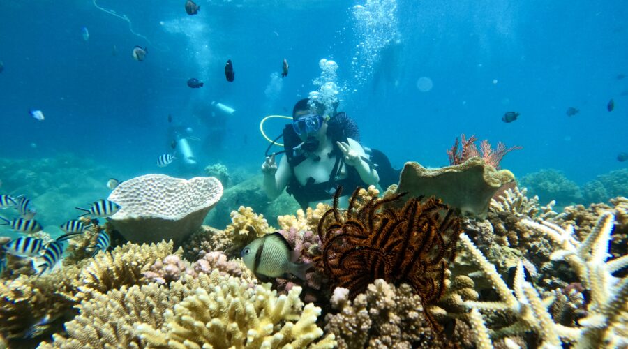 Scuba diving Nha Trang: A worthy experience in every trip to islands