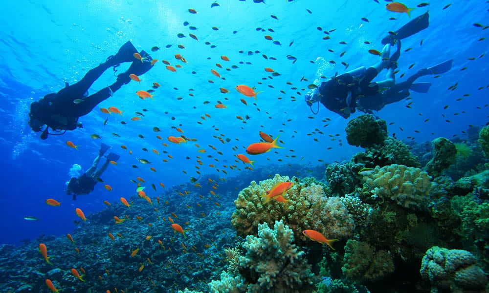 Nha Trang Scuba Diving Day Tour