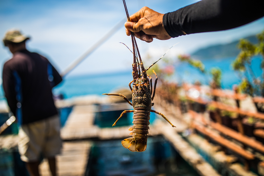 Nha Trang - Hải Sản