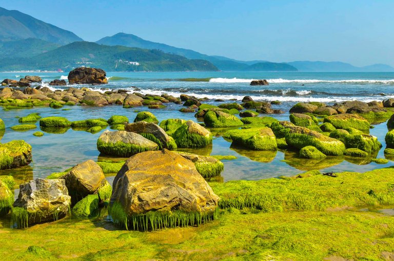 places to visit in Da Nang