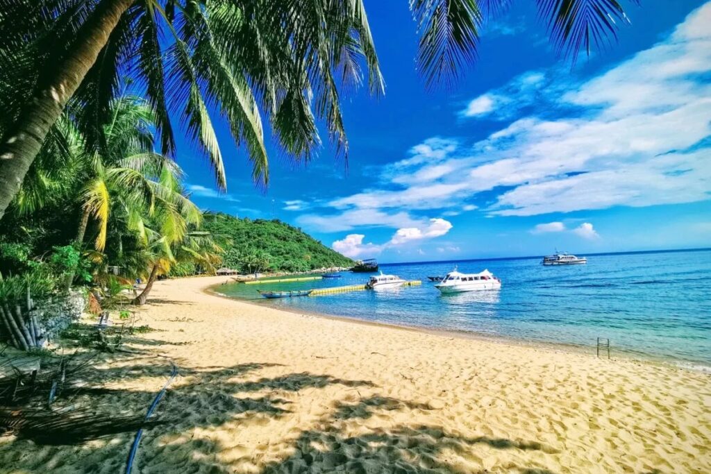 Place to visit in Da Nang